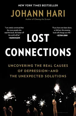 A picture of Lost Connections